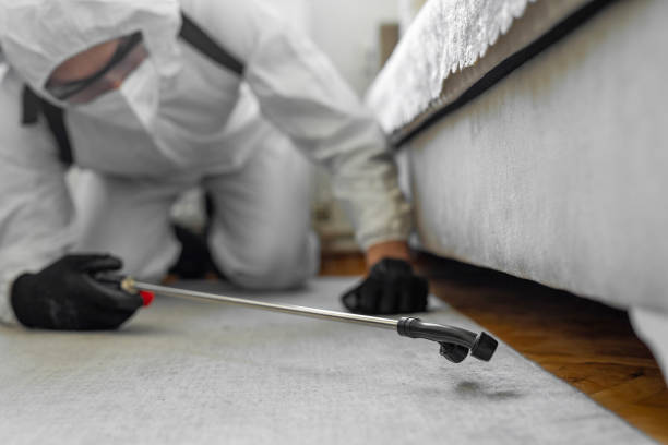 Professional Bed Bug Control technician working in Daleville, VA