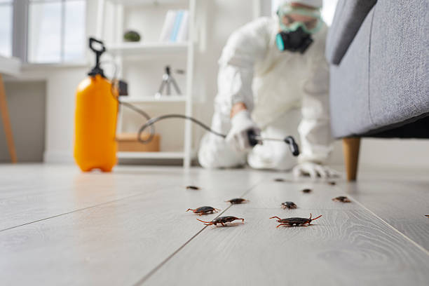 Trusted Rodent Control service in Daleville, VA - Nex Pest Control